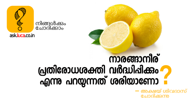 lemon-and-immunity